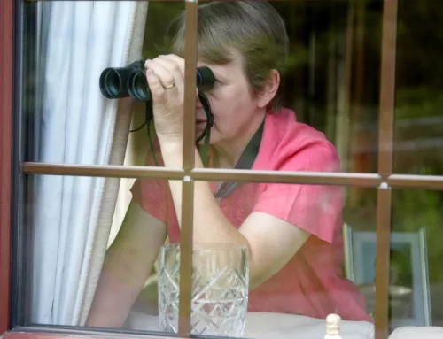 Do My Neighbours Have to Agree to My Extension? Understanding Consultation Requirements